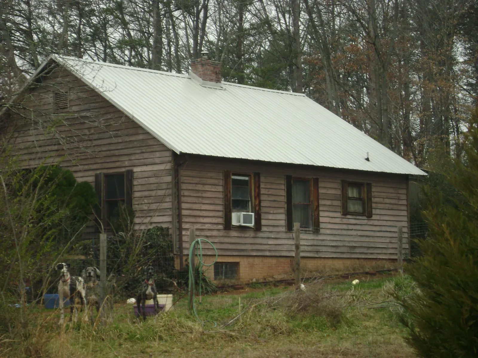 White metal roof on an old wood sided farmhouse, from a Asphalt Shingle Roof Repair job in Mason